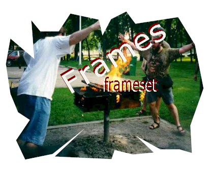 NIWO rituele verbranding van frames