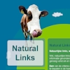 Preview Natural Links uit onze webdesign portfolio