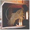 image of bald eagle on a mirror