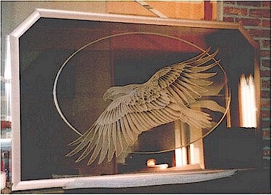 Bald Eagle op spiegelglas  © Vision2Form!