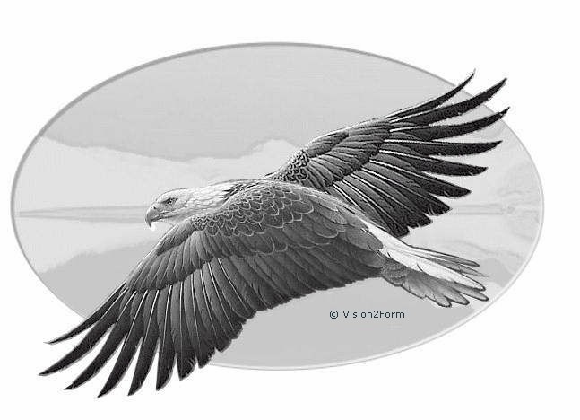 Special - american bald eagle on mirror / Copyright ©TL 2005