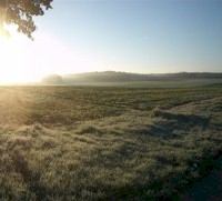 zonsopgang over een veld met dauw