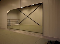 spiegelwand dans-studio Move2dance Nijverdal