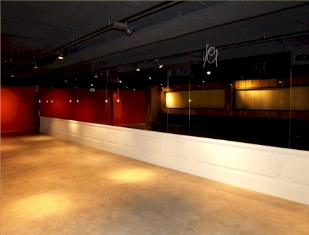 Spiegelwand 1 in de VIP Lounge - Amsterdam Arena
