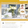 Preview Trouwen-in-gemeente.nl - webdesign portfolio